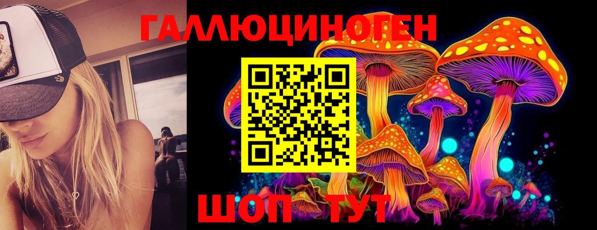 Псилоцибиновые грибы прущие грибы  Псилоцибиновые грибы прущие грибы  Серов  Вход с VPN 